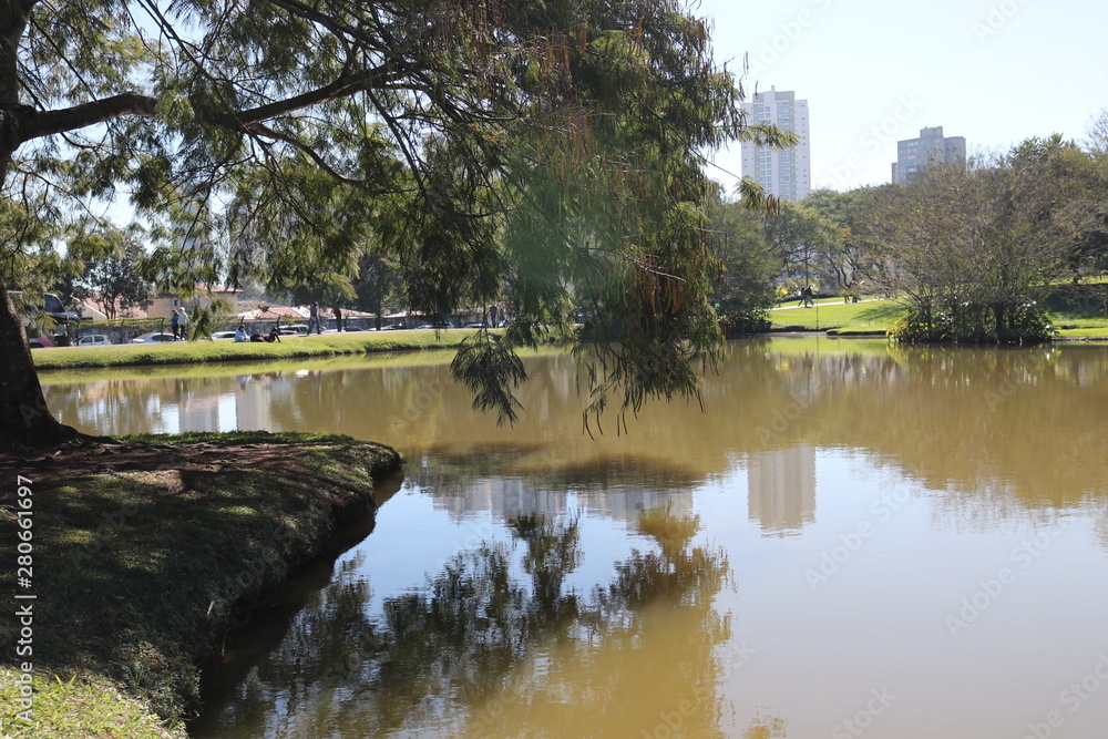 lake in the park lake in the park