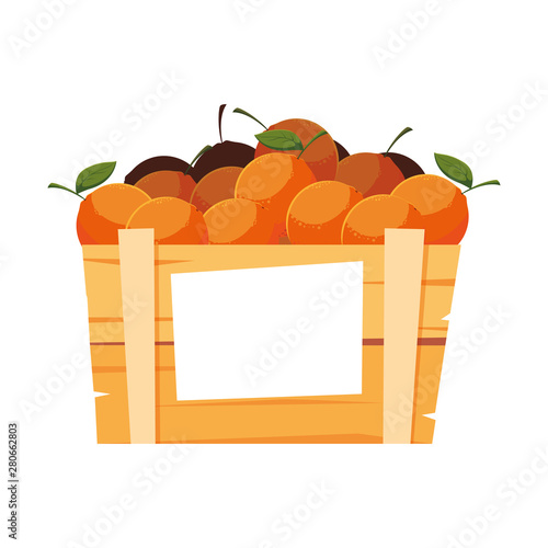 fresh fruits in wooden basket oranges