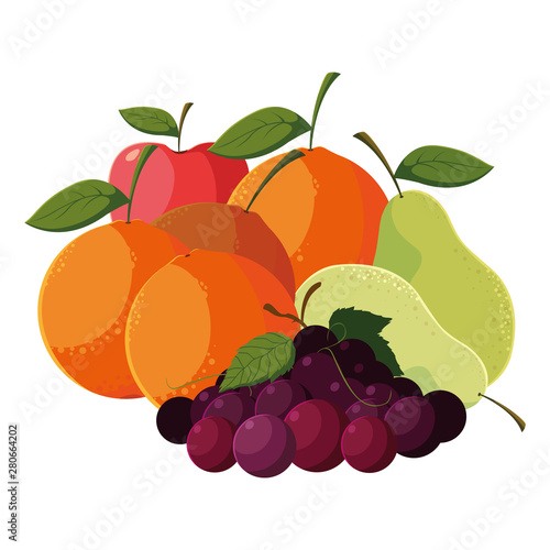 fresh fruits apple orange mango grapes pears