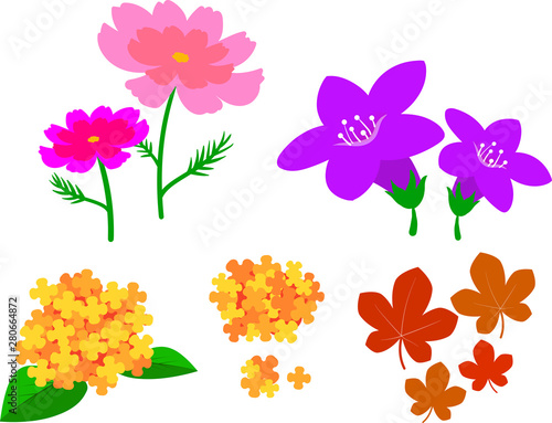 秋の花のイラストセット Stock ベクター Adobe Stock 秋の花のイラストセット Stock ベクター Adobe Stock
