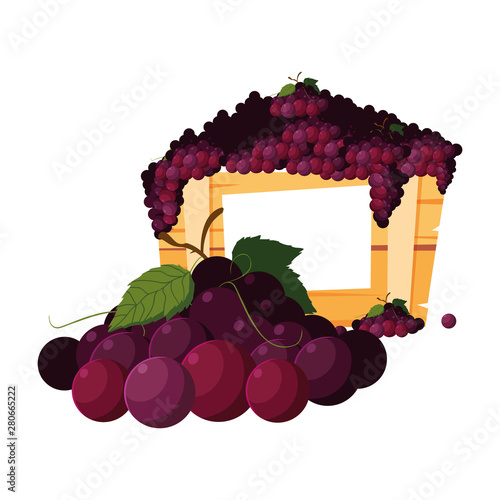 bunch of grapes fresh fruits