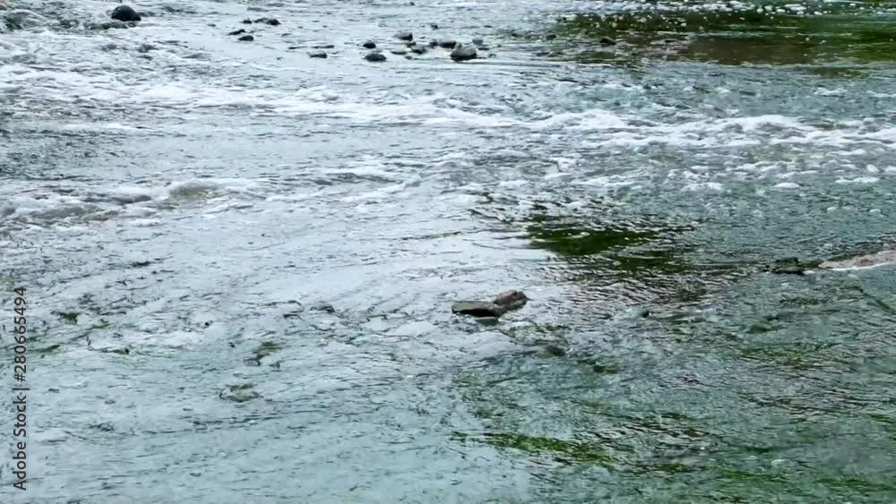 mixing zone of sewage discharge of urban sewage. river pollution. city dumps. mountain stream and waterfall mixing zone of sewage discharge of urban sewage. river pollution. city dumps. mountain stream and waterfall