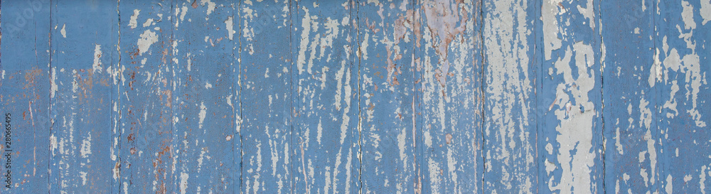 Blue painted wooden wall plank  perpendicular to the frame as simple peeling paint timber old grungy and weathered wood surface texture background in wide panorama banner format.