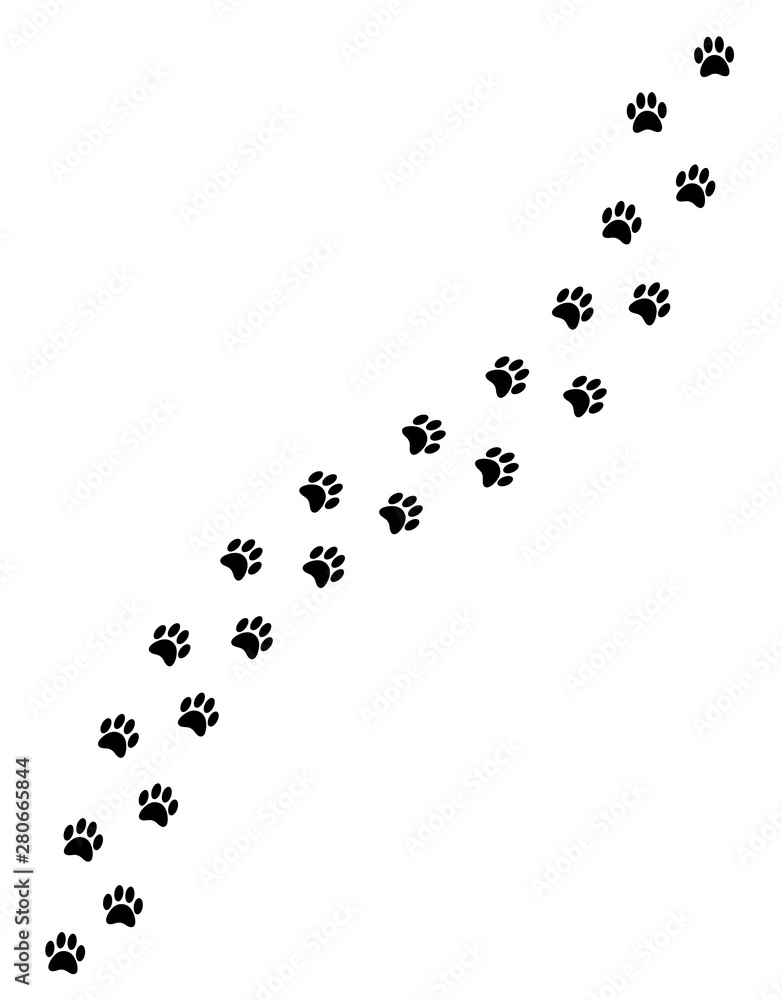 Vector black paw steps road isolated on white background