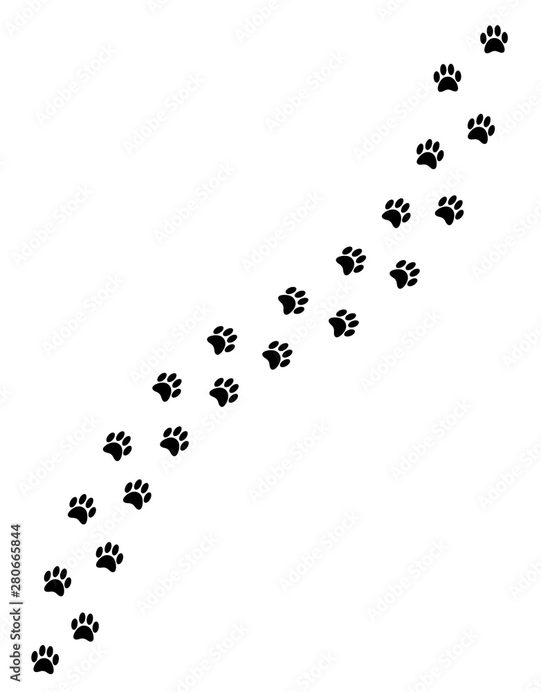 Vector black paw steps road isolated on white background Vector black paw steps road isolated on white background