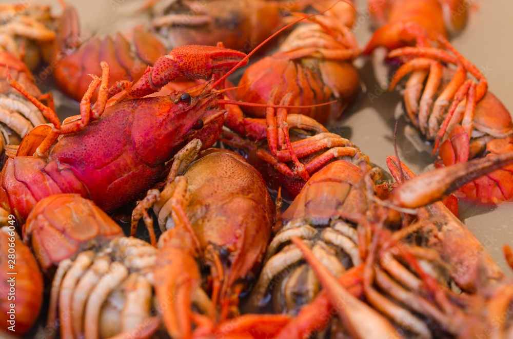 Homemade southern crawfish boil in a cooking pan Homemade southern crawfish boil in a cooking pan