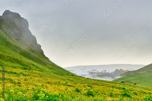 Two horses surrounded by grasslands are beautiful scenes in Iceland.