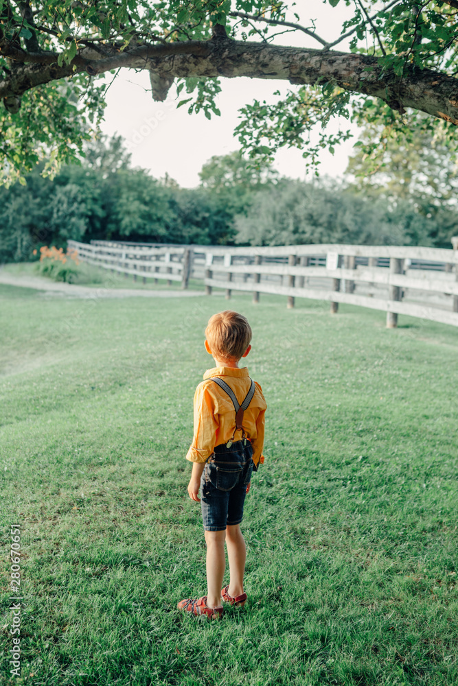 Little preschool Caucasian boy in yellow shirt and jeans shorts with suspenders standing alone in park country-side village on summer sunset. View from back behind. Fear of future life concept.