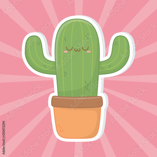 Kawaii of cactus cartoon design photo