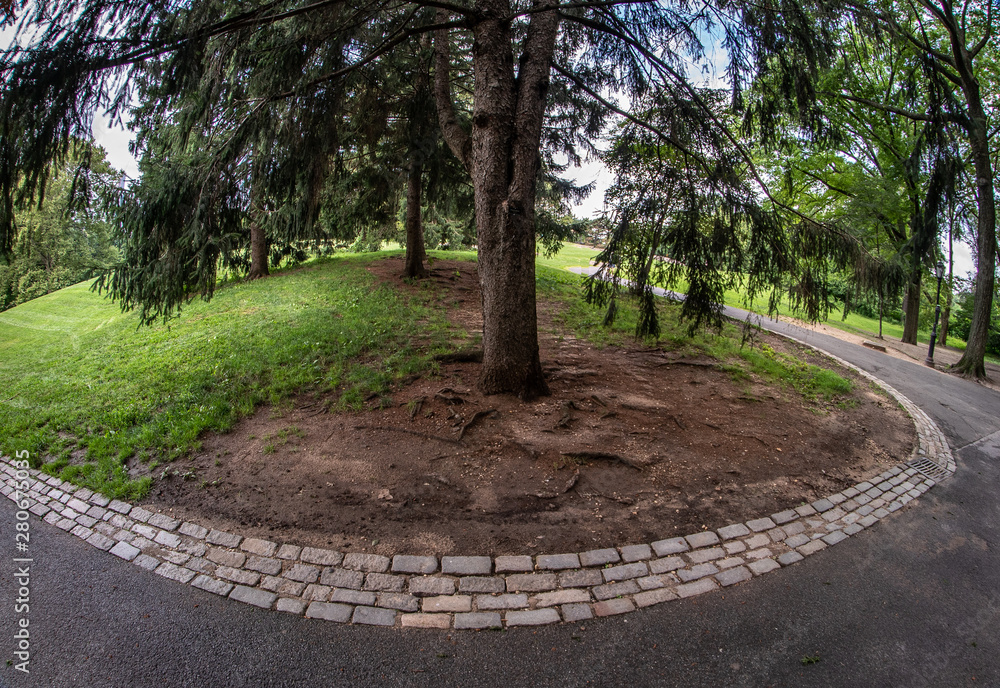 Distorted Park View and Path Through a Fiish Eye Lens Distorted Park View and Path Through a Fiish Eye Lens