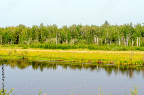 Wild Yakut lake in a field in the forest with the reflection of grass on the shore in the taiga in the North of Russia.