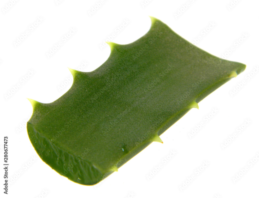 Fototapeta premium aloe isolated on white background