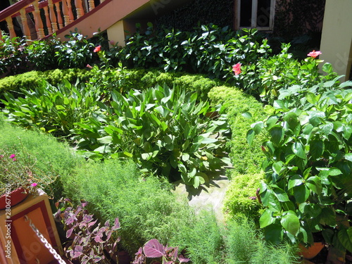 a beautiful scene of  green plants and trees with various colored flowers in a outdoor. It is in the garden of Iscon Temple , Mayapur in India. photo