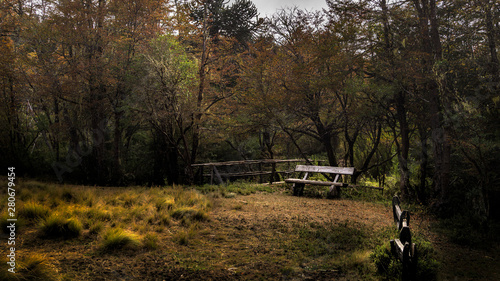 lonely bench in the park photo