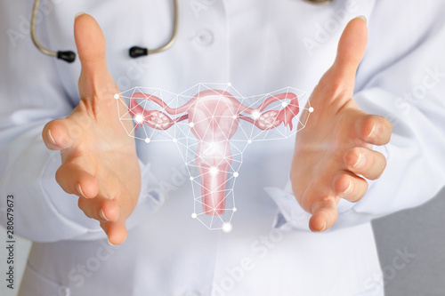 Fényképezés A medical worker shows the uterus in hands.