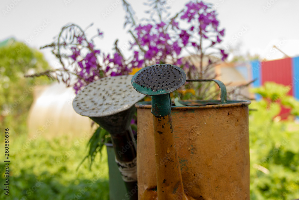 Flowers of fireweed stand in the old watering can. There are signs of corrosion on the watering can. Rust on the watering can.