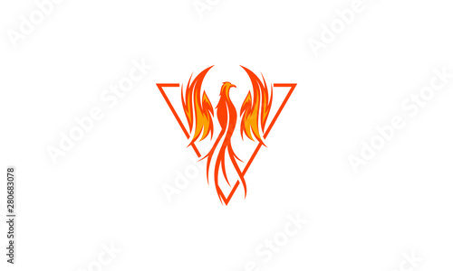 phoenix bird logo vector icon