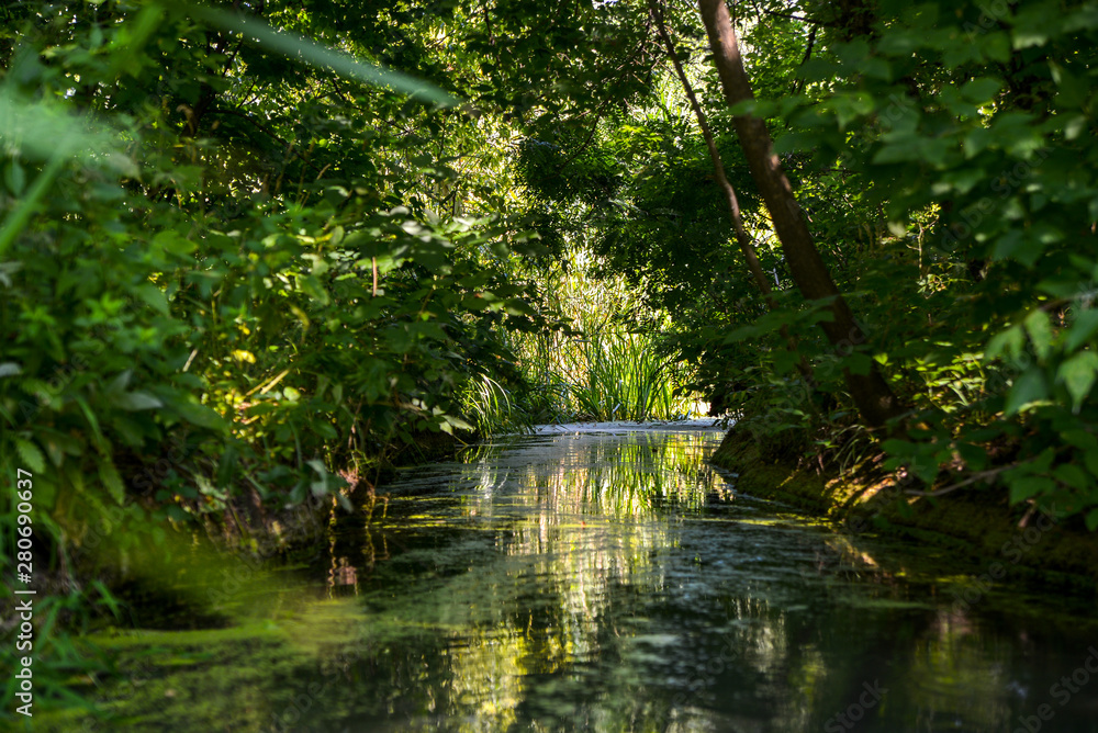 river in the forest river in the forest