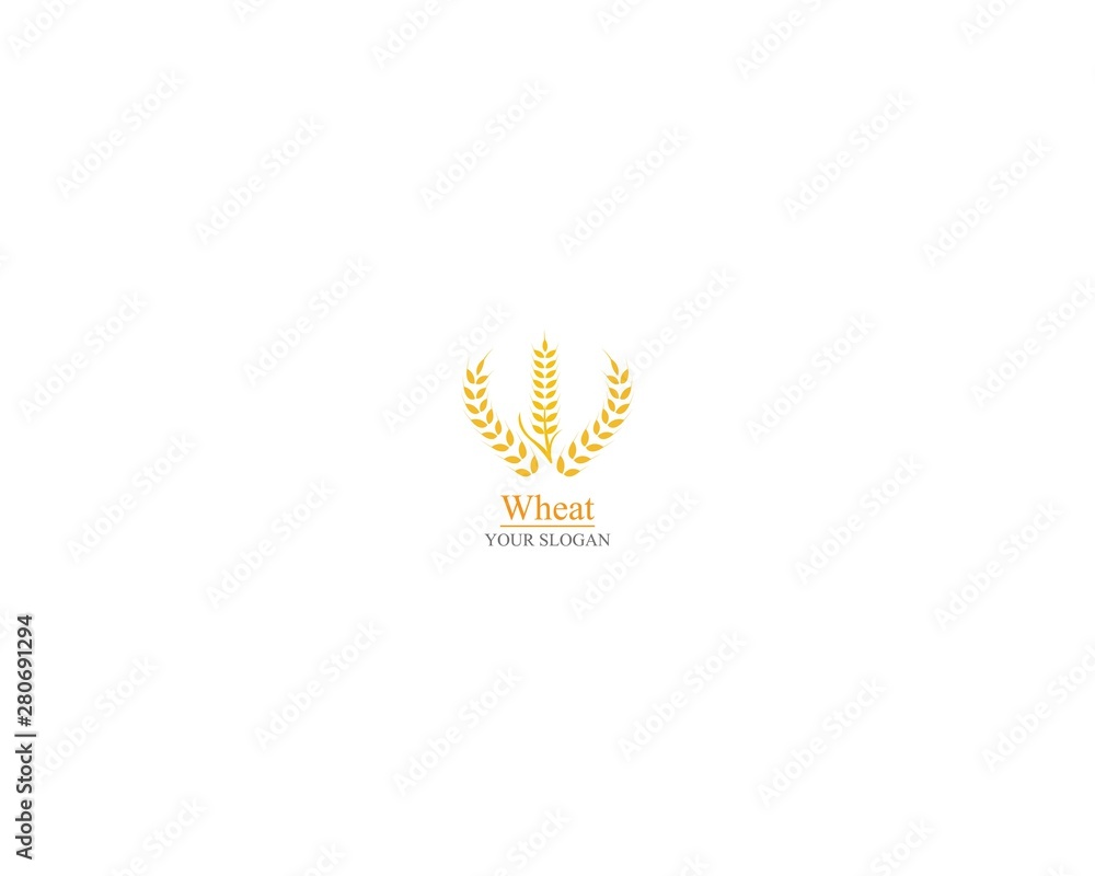Agriculture wheat Logo Template vector icon design Agriculture wheat Logo Template vector icon design