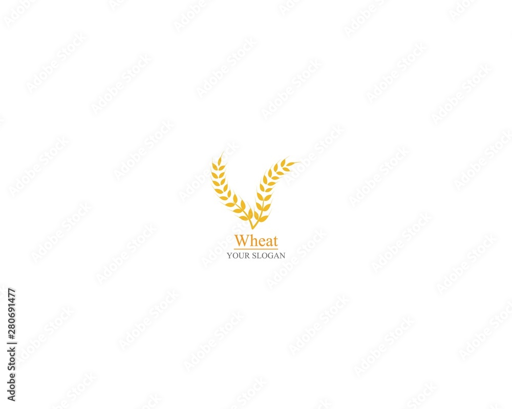 Agriculture wheat Logo Template vector icon design Agriculture wheat Logo Template vector icon design