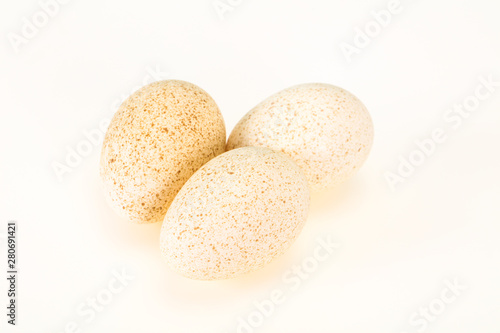 Three big raw turkey egg