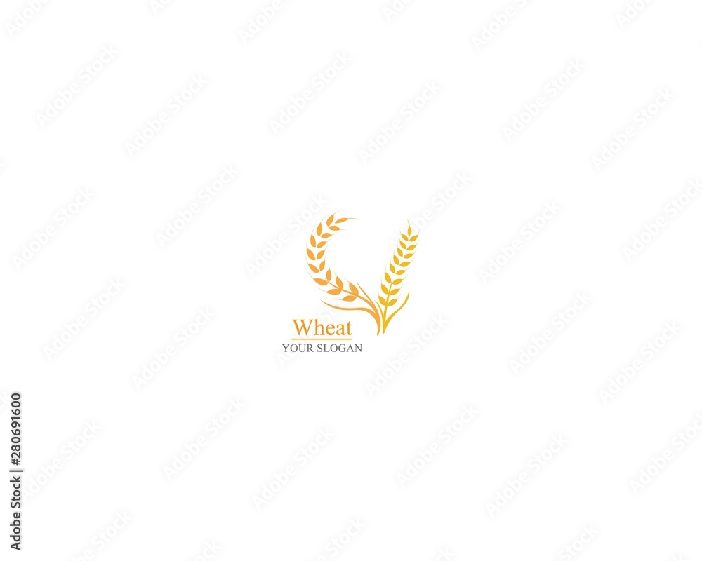 Agriculture wheat Logo Template vector icon design Agriculture wheat Logo Template vector icon design