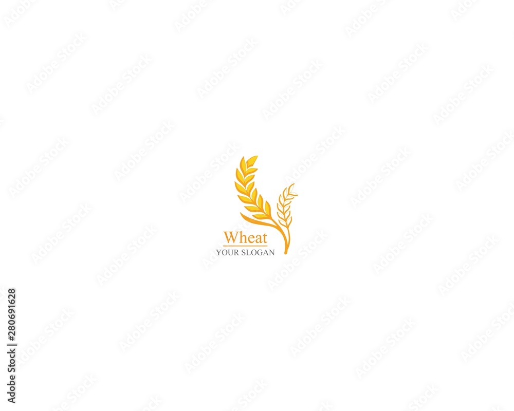 Fototapeta premium Agriculture wheat Logo Template vector icon design