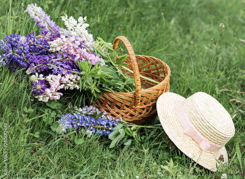 Basket with lupine flowers