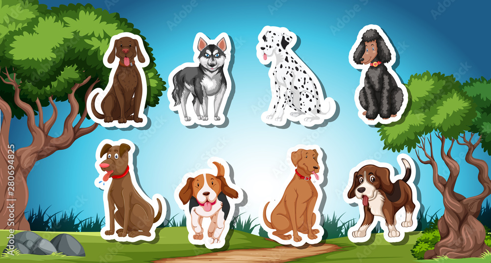 Pack of dog sticks with nature background
