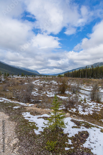 Canadian Rockies, Jasper National Park, Alberta, Canada