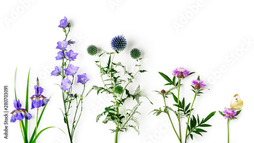Fototapeta Naklejka Na Ścianę i Meble -  Summer garden flowers set.