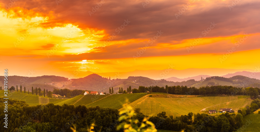 Fototapeta premium Panorama View at South Styria Vineyard fields in sunset sun in summer. Eckberg Tourist destination.