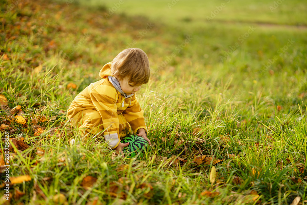 Concept: family, kids. Happy little child, baby boy laughing and playing with green ball in the autumn on the nature walk outdoors at park Concept: family, kids. Happy little child, baby boy laughing and playing with green ball in the autumn on the nature walk outdoors at park