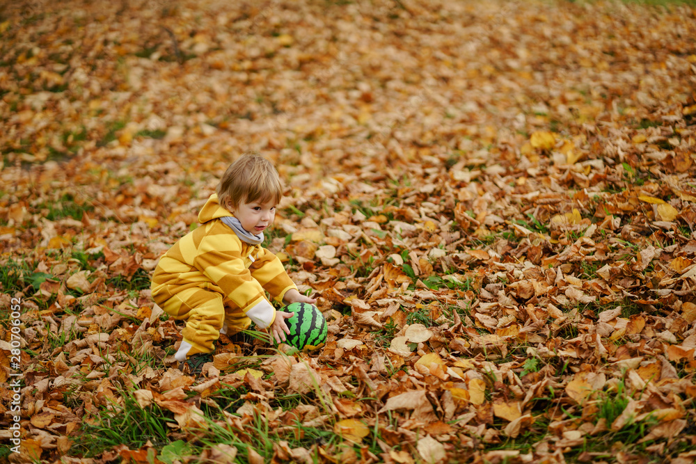 Concept: family, kids. Happy little child, baby boy laughing and playing with green ball in the autumn on the nature walk outdoors at park Concept: family, kids. Happy little child, baby boy laughing and playing with green ball in the autumn on the nature walk outdoors at park