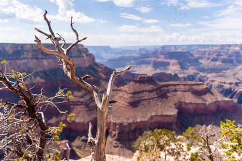 Overlooking the Grand Canyon from the Southern Rim, west of Grand Canyon Village © Goldilock Project