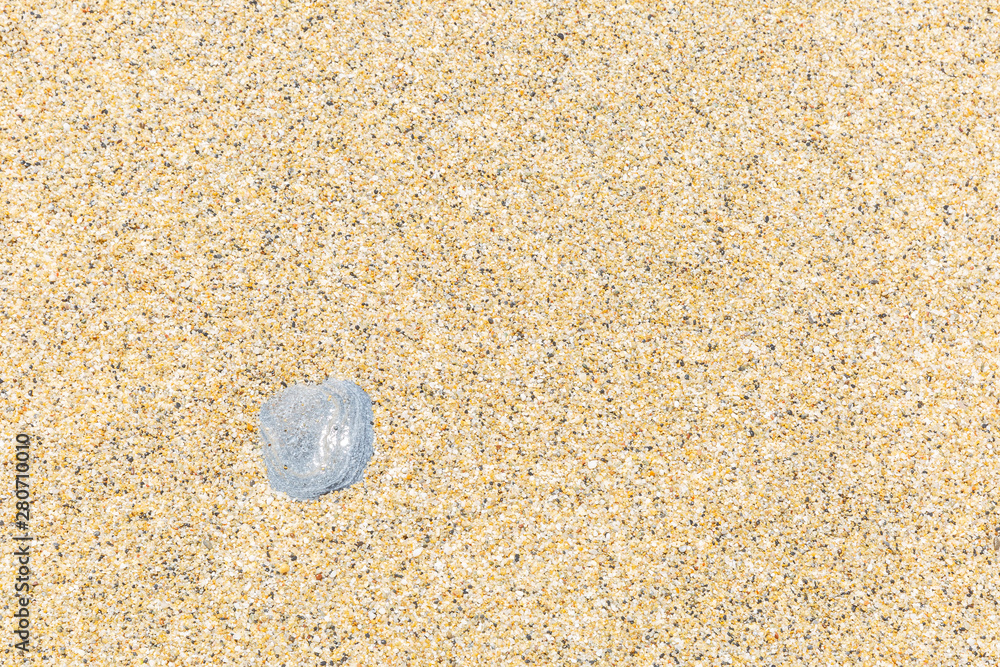 Sandy beach, background, close-up. Space for text. Sandy beach, background, close-up. Space for text.