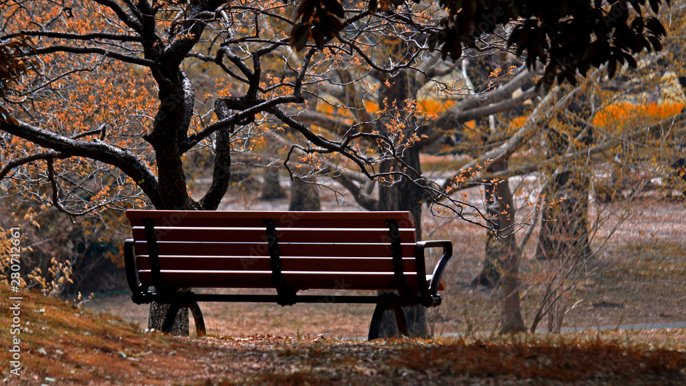 Autumn quiet park bench