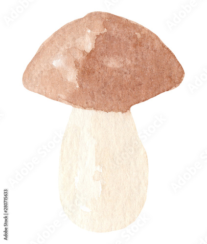 Hand painted watercolor mushroom clipart. Isolated on white background. Watercolor hand drawn illustration