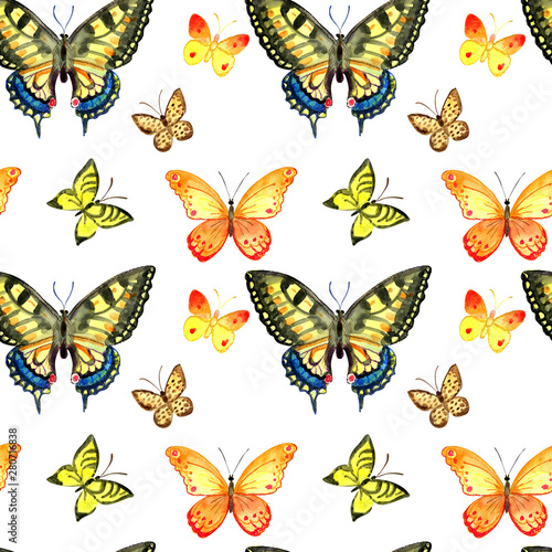 Set of watercolor butterflies. Vintage summer isolated spring art. © AnnA