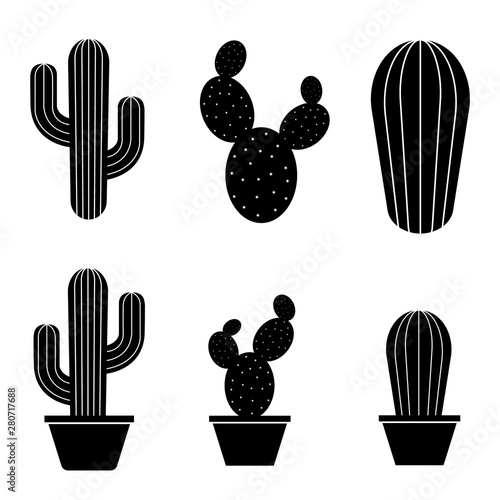 Cactus icon, logo isolated on white background
