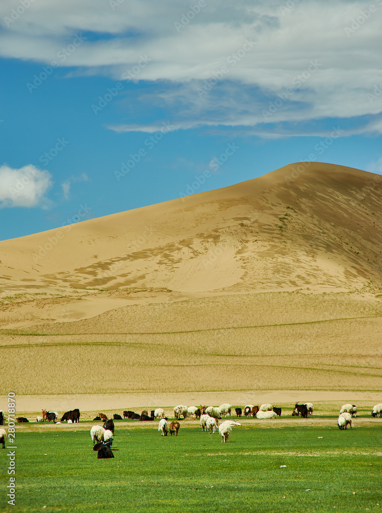 Obraz premium Sands Mongol Els