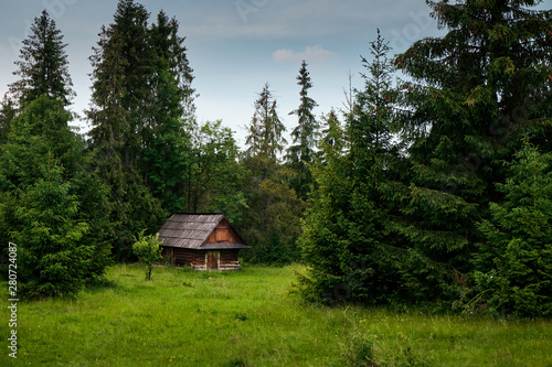 Old log cabin in the forest.. © Creaturart