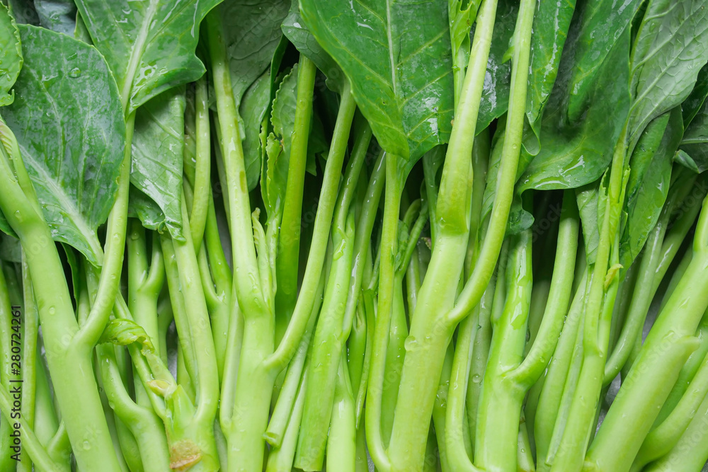 Chinese kale fresh vegetable Green leaf Chinese kale fresh vegetable Green leaf