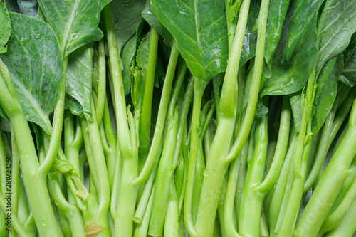 Chinese kale fresh vegetable Green leaf