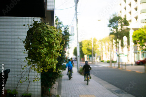 道端の観葉植物。鉢植え