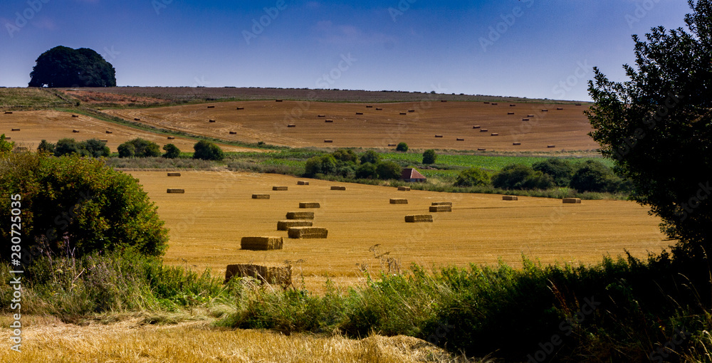 Fototapeta premium Avebury Bales 2