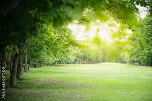 Nature of green park on blurred greenery background in garden using as background natural landscape, ecology, fresh wallpaper