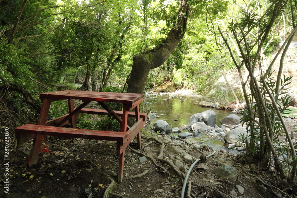 empty bench by the stream and next to the tree empty bench by the stream and next to the tree