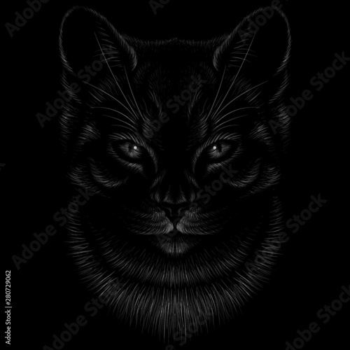 The Vector logo cat for tattoo or T-shirt design or outwear.  Cute print style cat background.