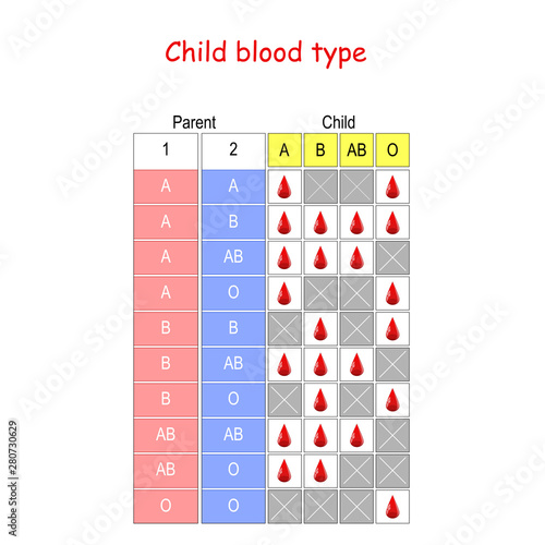 Child Blood Type. diagram